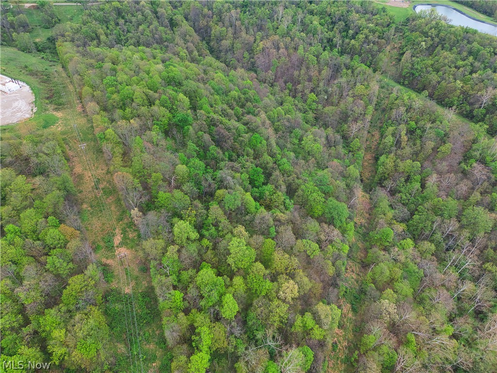 0 Bealls Ridge Wellsburg, WV 26070 - Photo 28 of 46