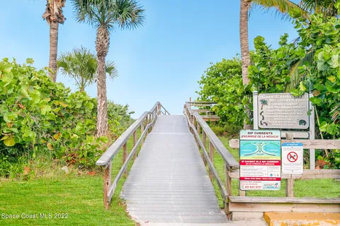 a view of a swimming pool with a garden and plants