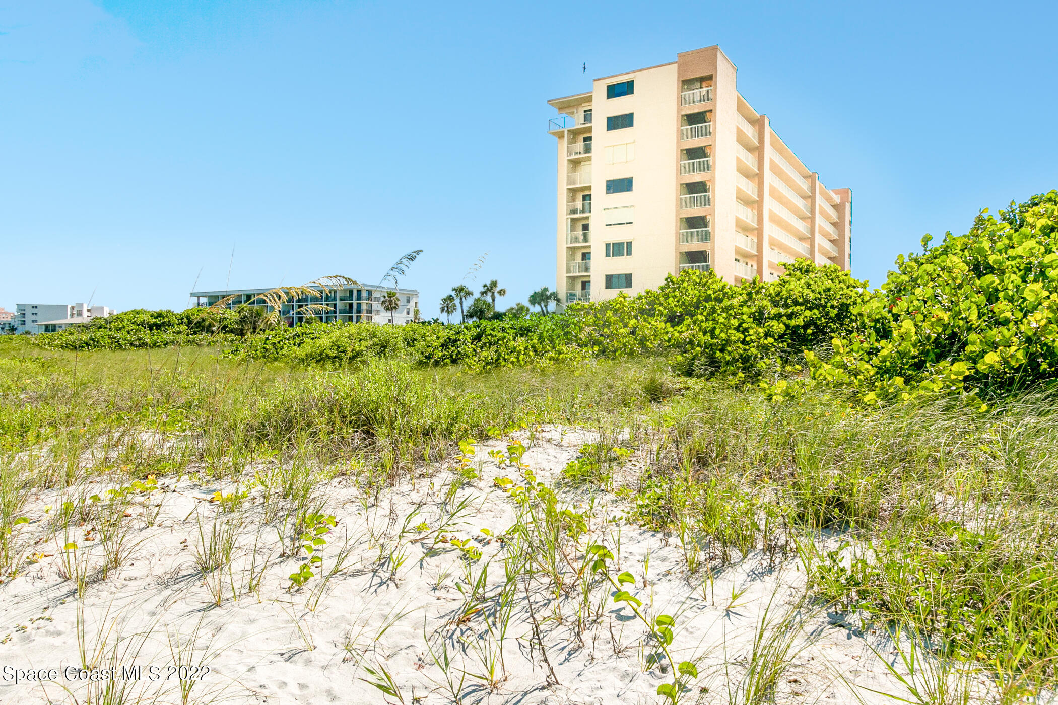 7520 Ridgewood Avenue, Unit 104 Cape Canaveral, FL 32920 - Photo 27 of 35 a view of a tall building next to a yard