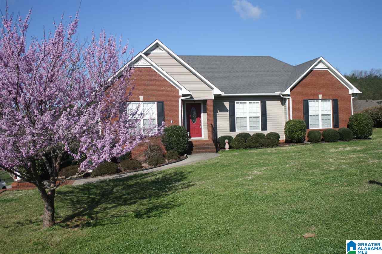 907 Ransome Drive Oneonta, AL 35121 - Photo 24 of 33