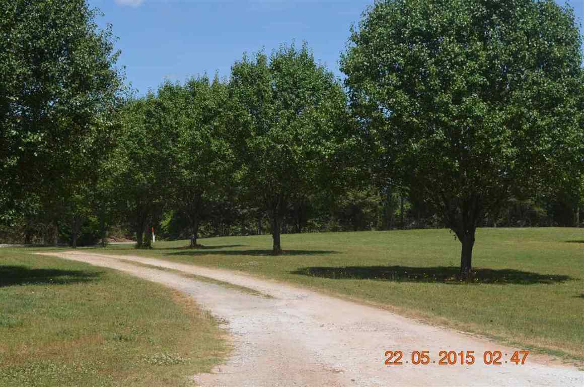 107 Tommy Miller Road Donalds, SC 29638 - Photo 14 of 28