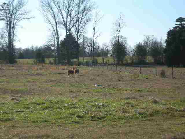 107 Tommy Miller Road Donalds, SC 29638 - Photo 15 of 28