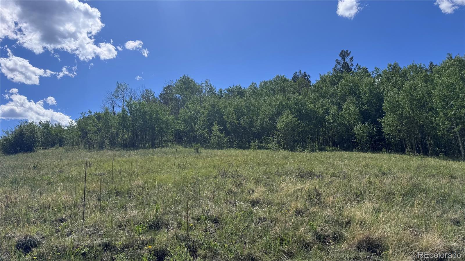 2 Mac Rock Road Central City, CO 80427 - Photo 4 of 20