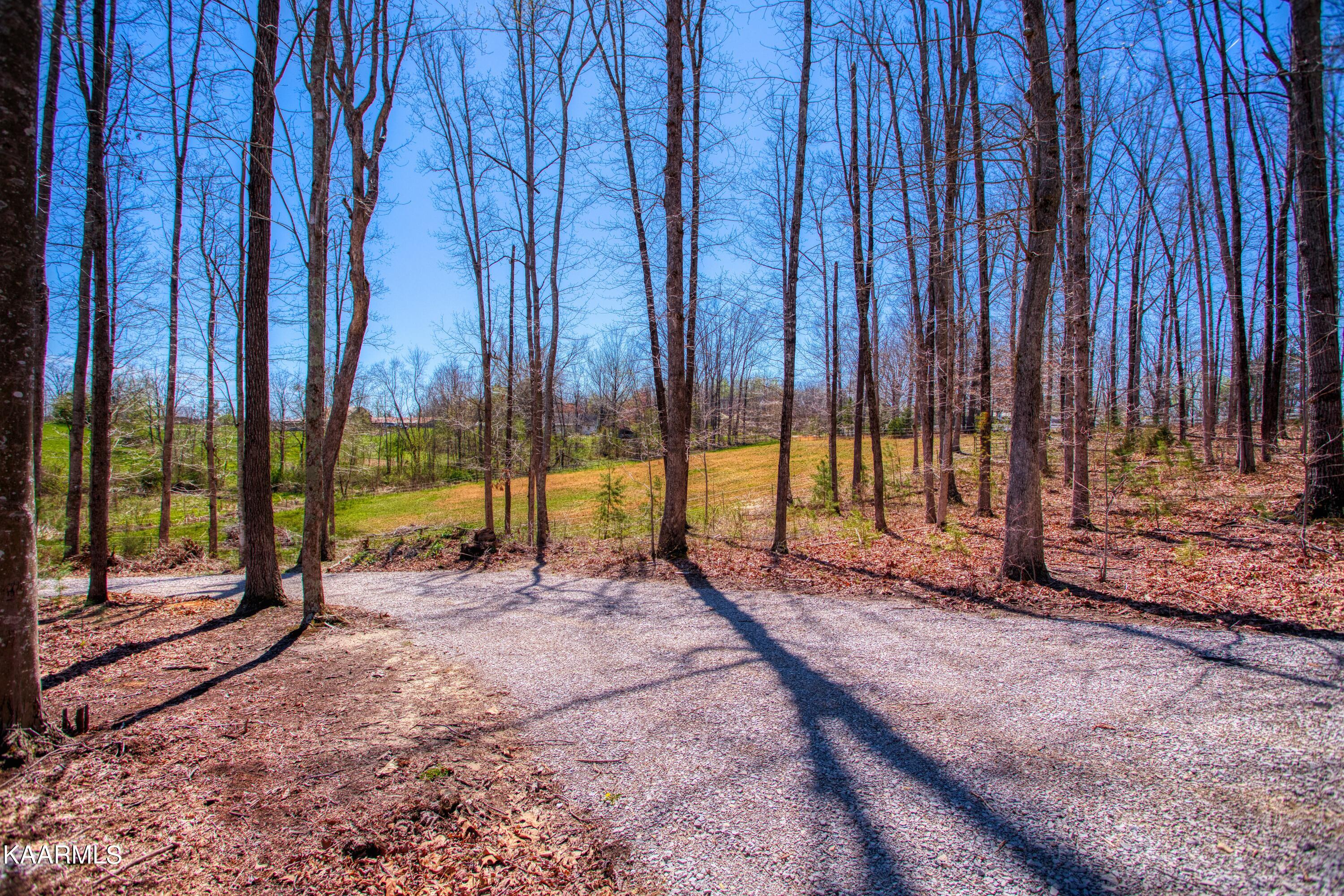 1116 Charlie Doss Road Jamestown, TN 38556 - Photo 23 of 36 EK3A9410