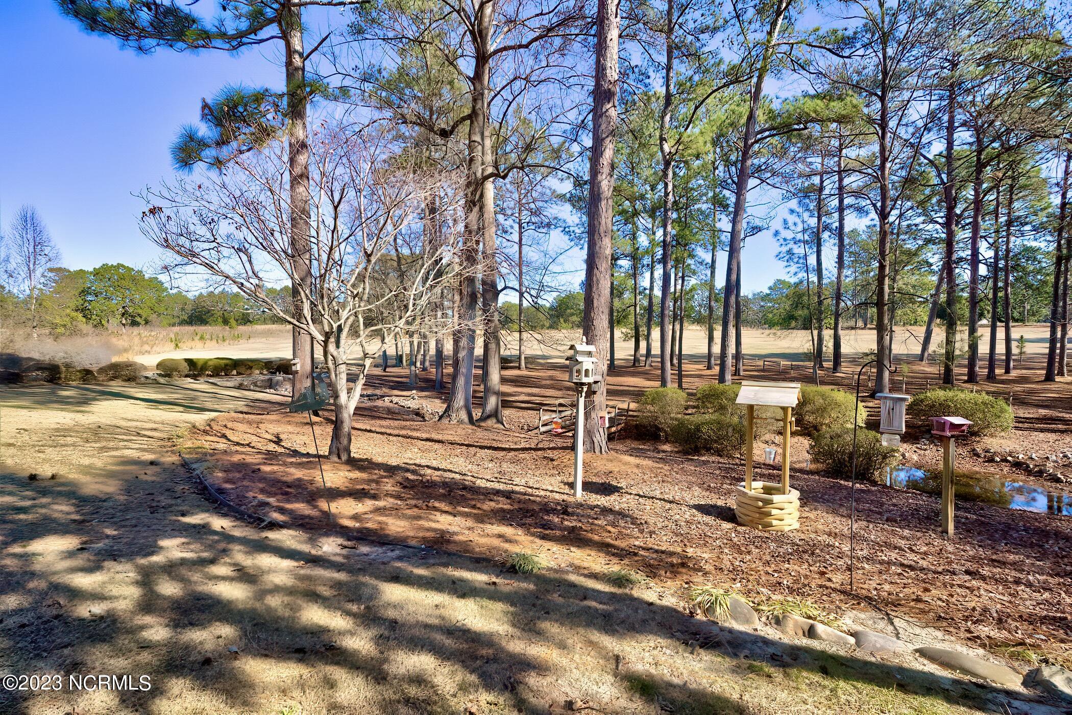 143 Fairway Drive Rockingham, NC 28379 - Photo 25 of 62 RS 1 DSC02903_4_5