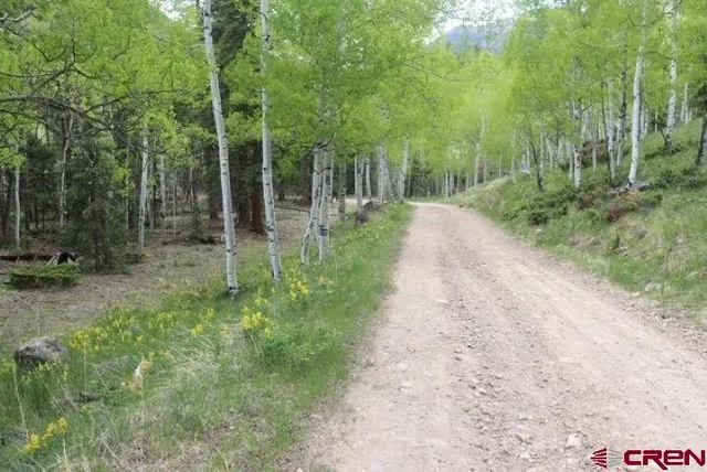 a view of backyard with green space
