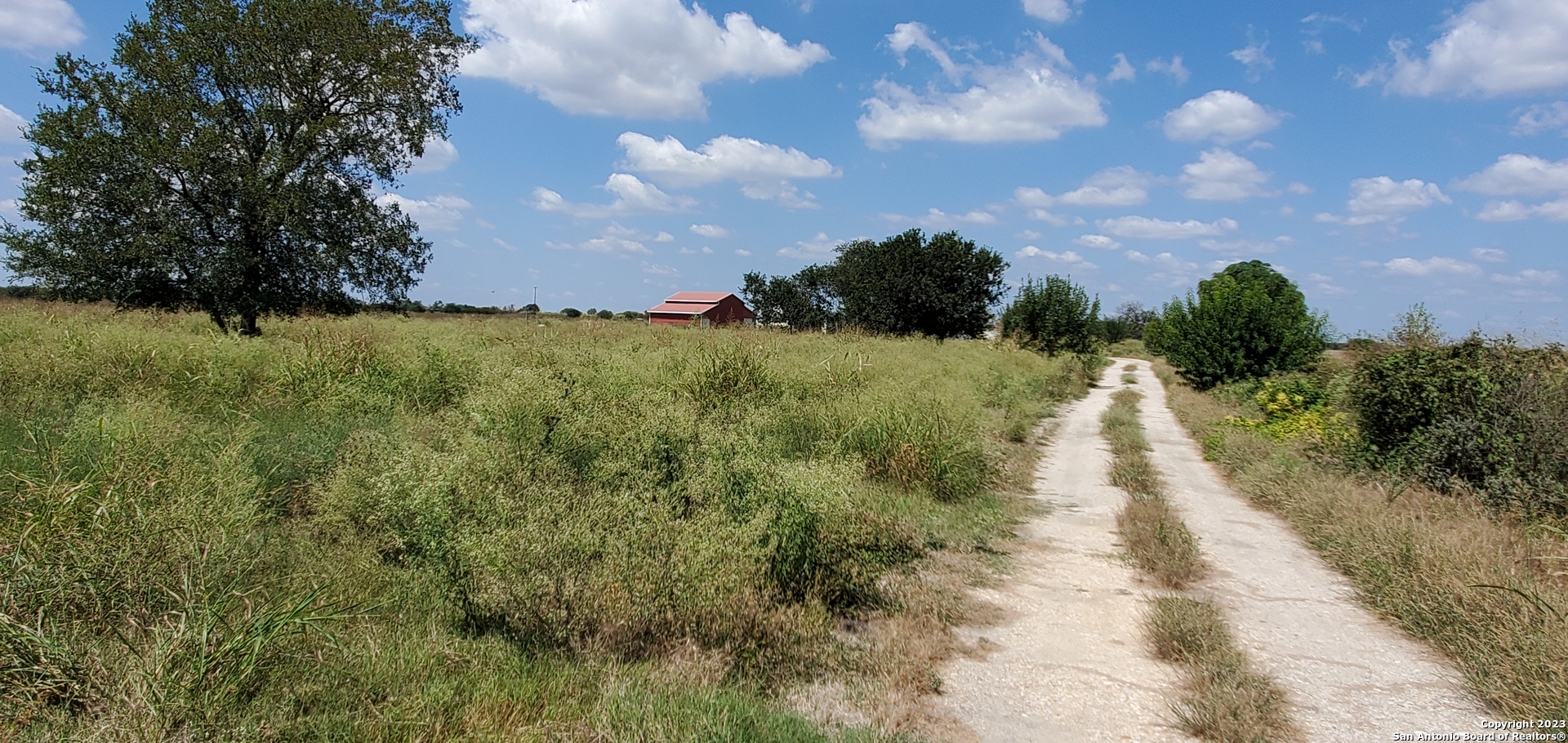 780-848 Bolton Road Marion, TX 78124 - Photo 11 of 12 a view of a yard with an trees