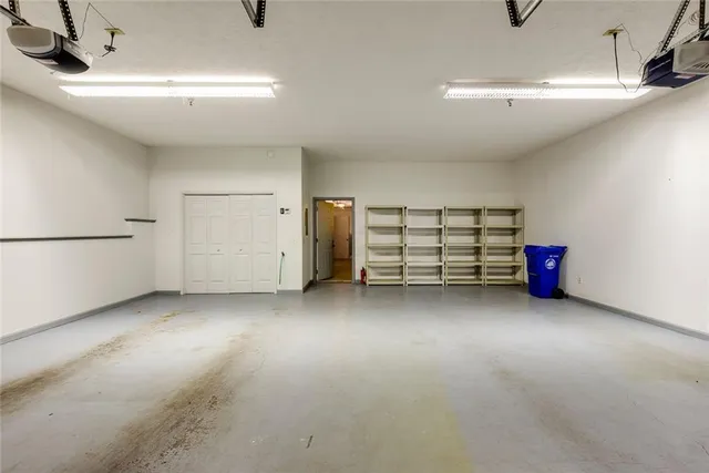 a view of a backyard with plants and large trees
