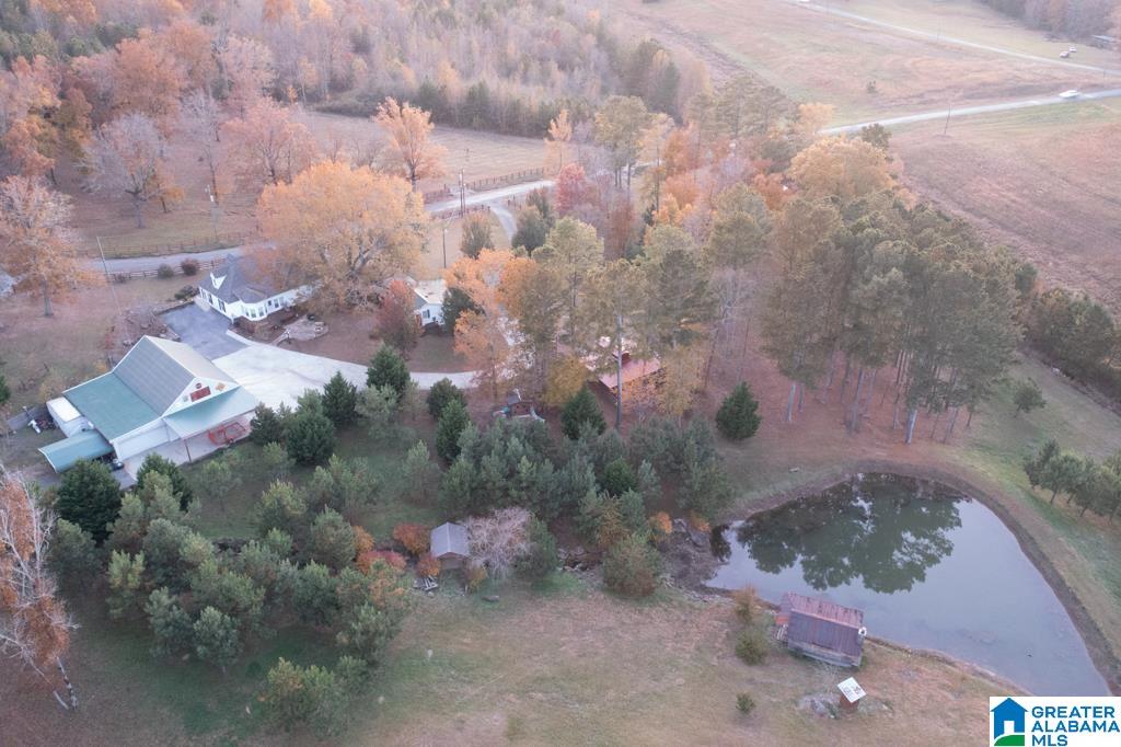 195 Mountain View Church Road Altoona, AL 35952 - Photo 4 of 49
