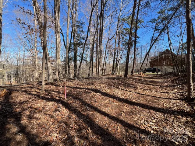 a view of a yard with trees