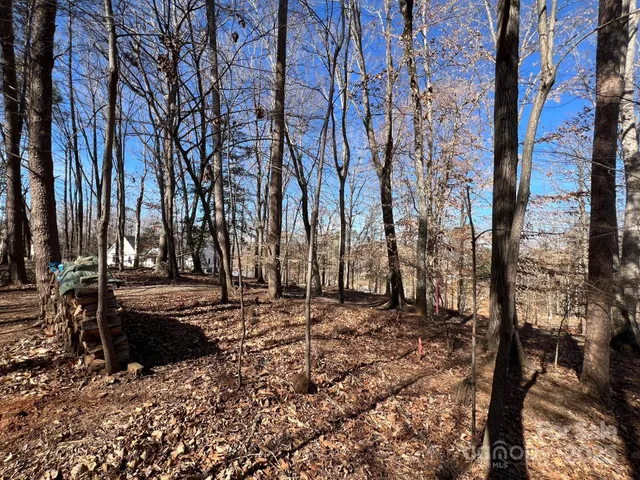 a view of outdoor space with deck and tree