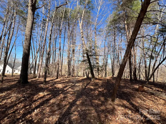 a view of road with trees