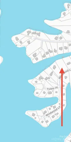 a view of a yard with lots of trees