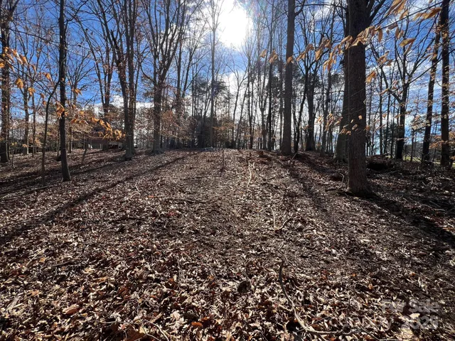 a view of a yard with wooden fence and large trees