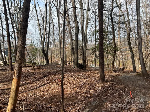 a view of a swimming pool with an outdoor space