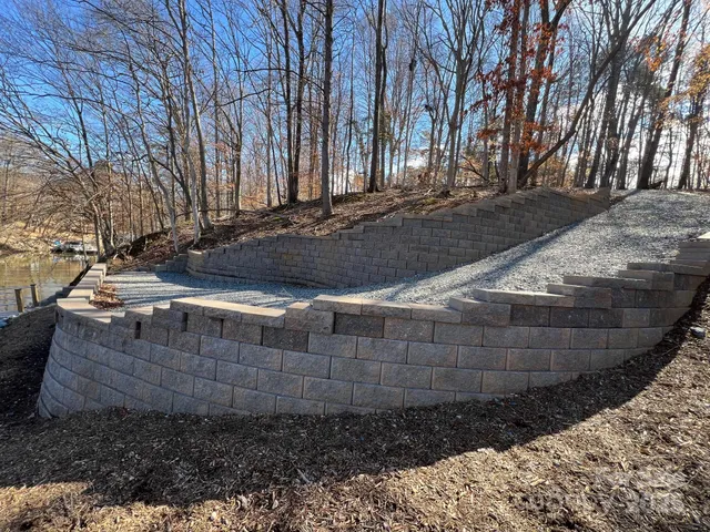 a view of a yard with plants and large trees