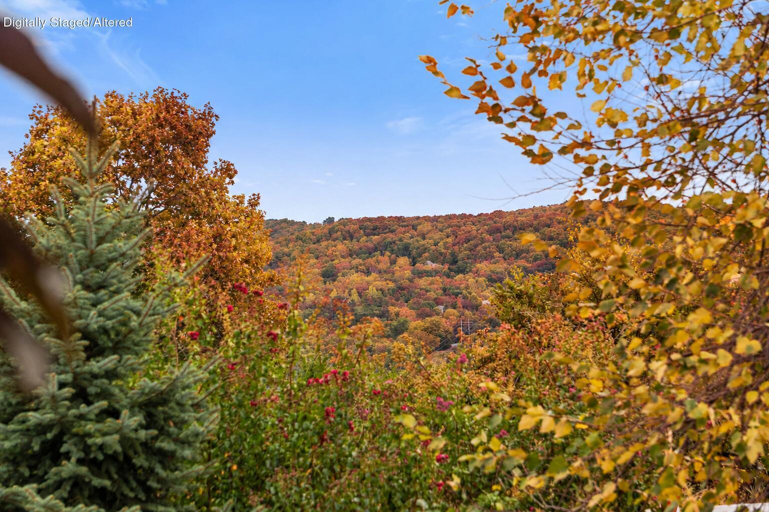 56 Mountain View Court Reeds Spring, MO 65737 - Photo 5 of 68 Ozarks Home Framed by Autumn Foliage-9