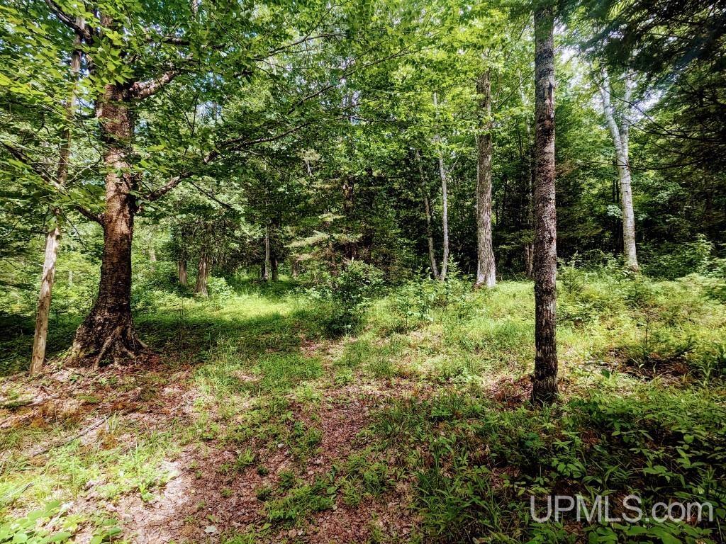 248 South Shore Road Crystal Falls, MI 49920 - Photo 20 of 26