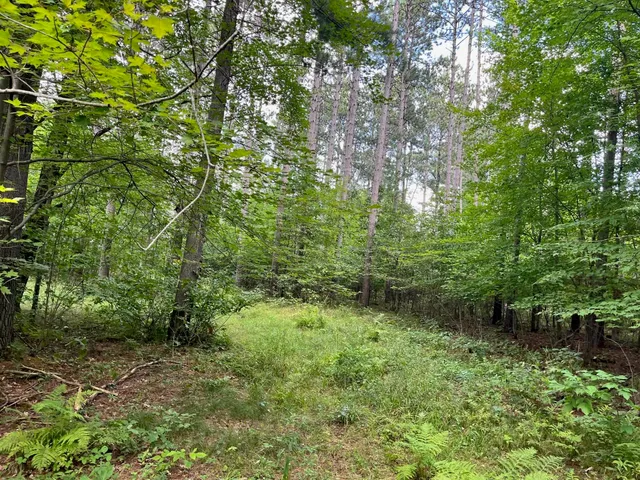 $500,000 | 80-ac County Rd G, Hancock, WI 54943