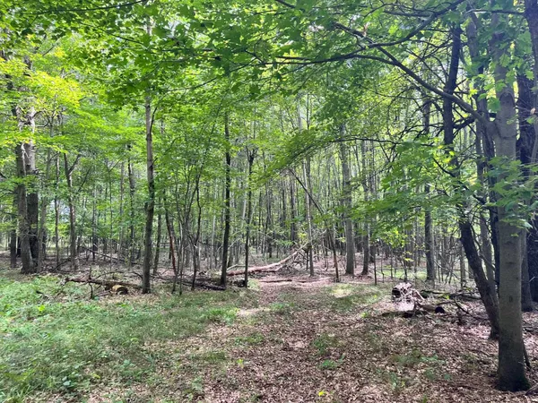 $500,000 | 80-ac County Rd G, Hancock, WI 54943