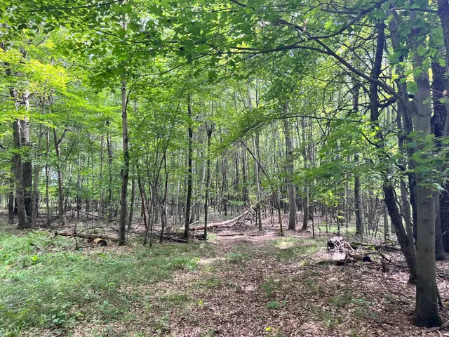 $500,000 | 80-ac County Rd G, Hancock, WI 54943