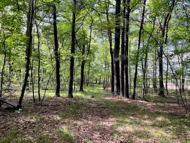 $500,000 | 80-ac County Rd G, Hancock, WI 54943