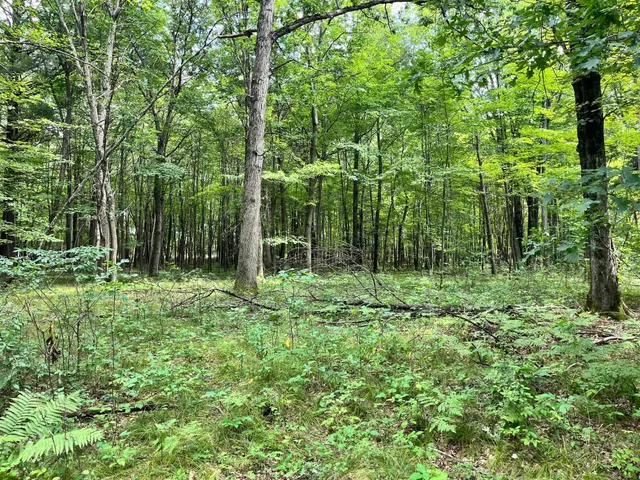 $500,000 | 80-ac County Rd G, Hancock, WI 54943