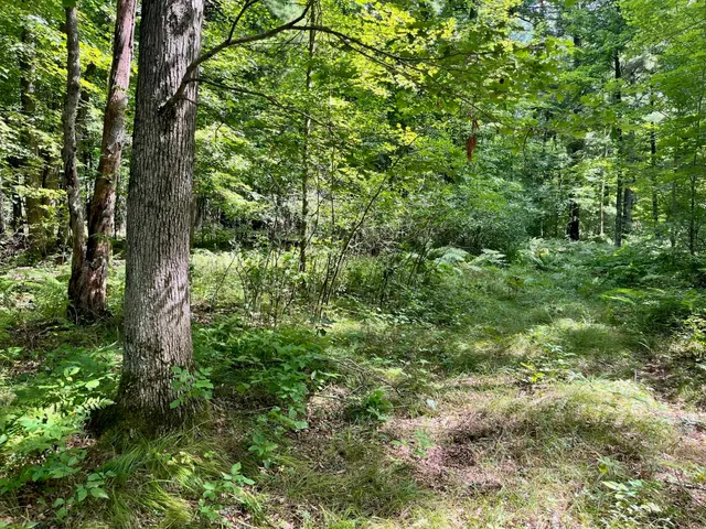 $500,000 | 80-ac County Rd G, Hancock, WI 54943