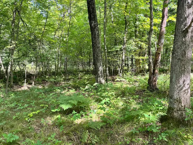 $500,000 | 80-ac County Rd G, Hancock, WI 54943