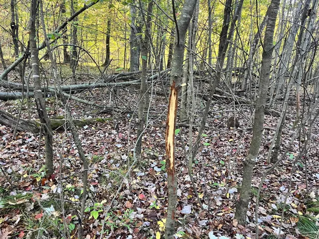 $500,000 | 80-ac County Rd G, Hancock, WI 54943