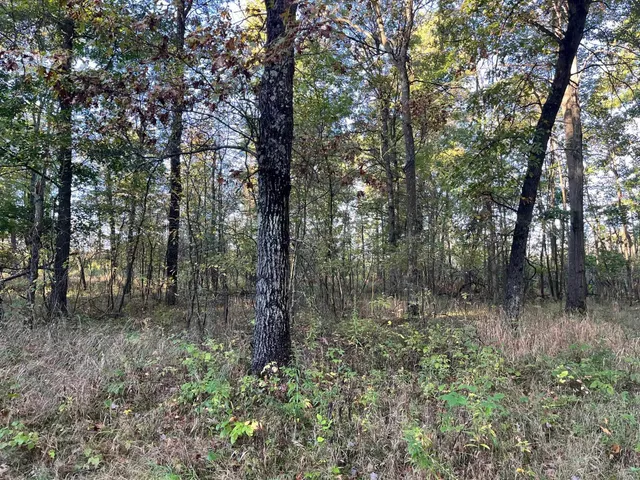 $500,000 | 80-ac County Rd G, Hancock, WI 54943