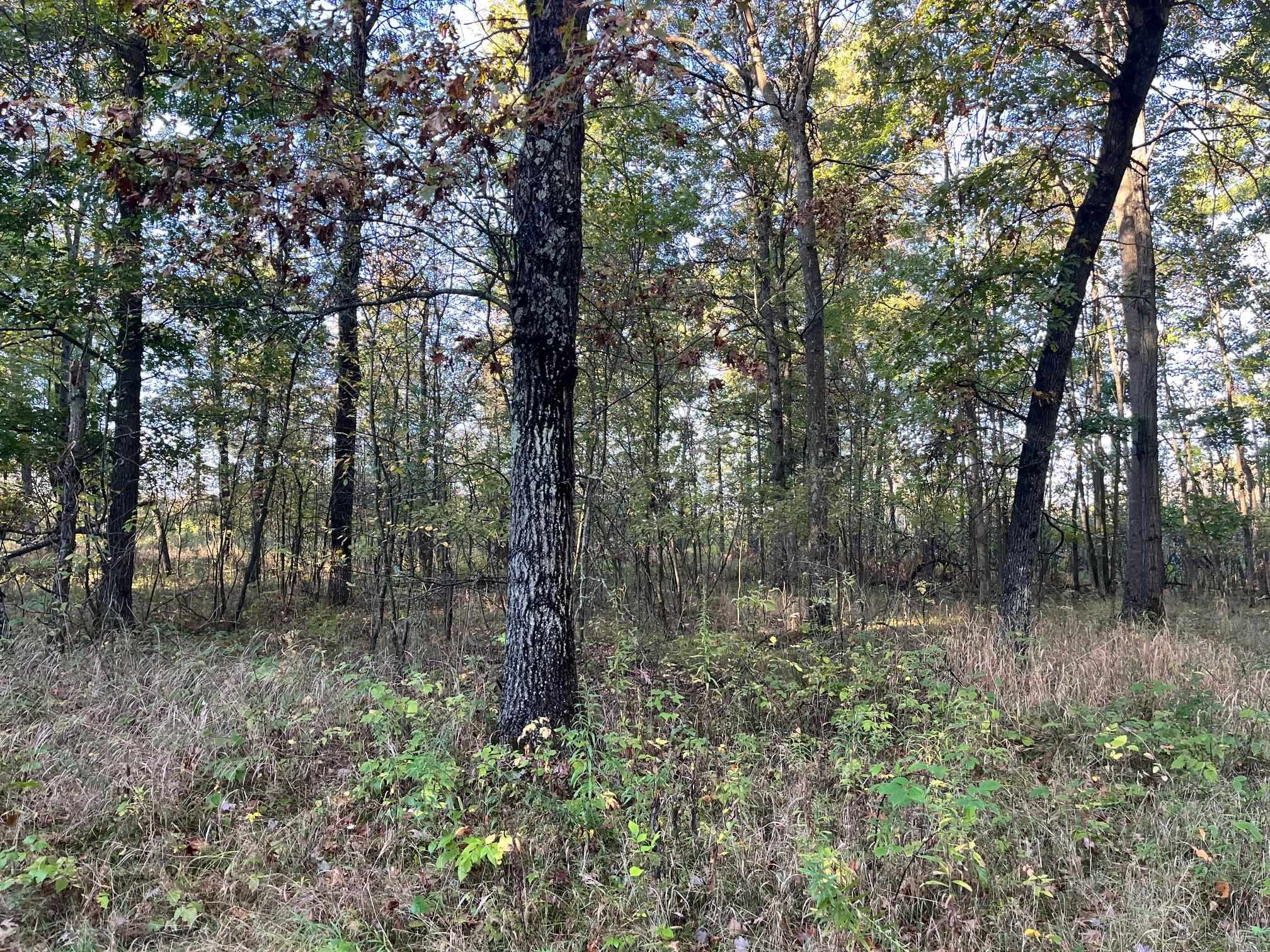80-ac County Rd G Hancock, WI 54943 - Photo 23 of 33