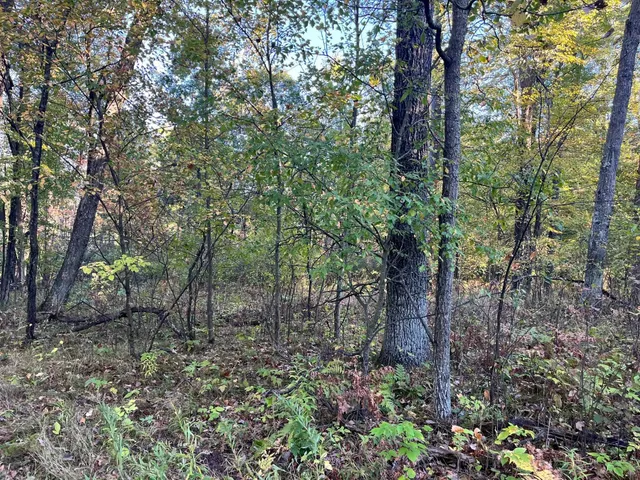 $500,000 | 80-ac County Rd G, Hancock, WI 54943