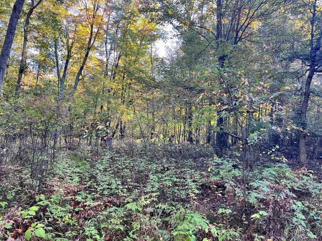 $500,000 | 80-ac County Rd G, Hancock, WI 54943