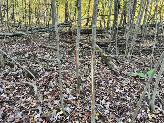 $500,000 | 80-ac County Rd G, Hancock, WI 54943