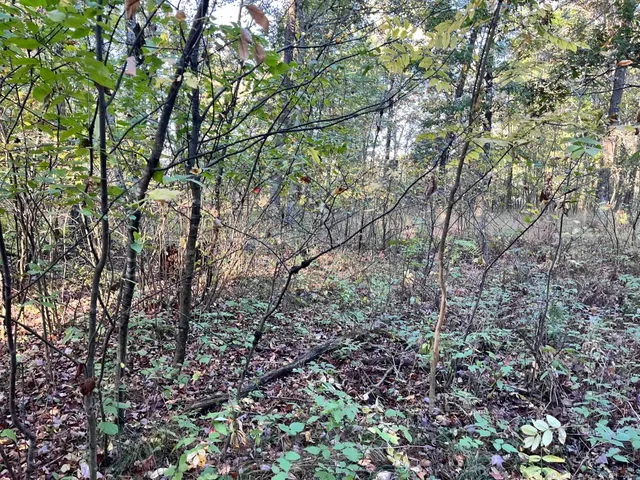 $500,000 | 80-ac County Rd G, Hancock, WI 54943