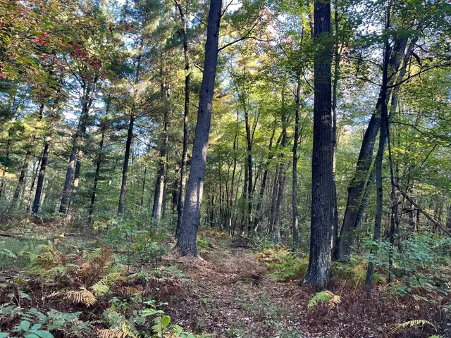 $500,000 | 80-ac County Rd G, Hancock, WI 54943