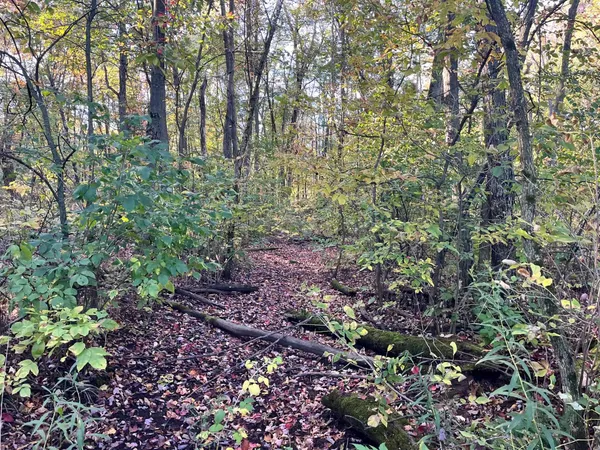 $500,000 | 80-ac County Rd G, Hancock, WI 54943