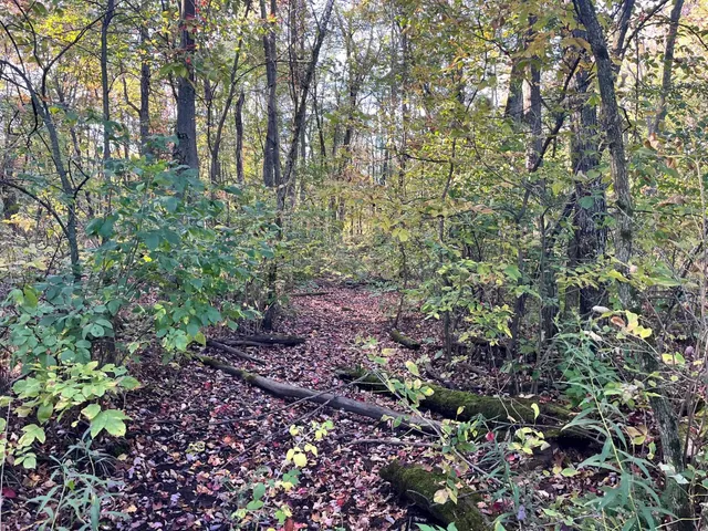 $500,000 | 80-ac County Rd G, Hancock, WI 54943