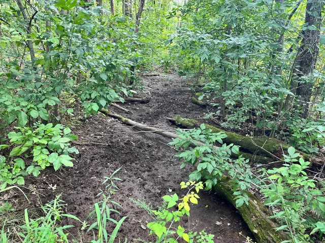 $500,000 | 80-ac County Rd G, Hancock, WI 54943