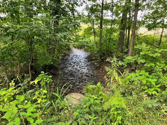 $500,000 | 80-ac County Rd G, Hancock, WI 54943
