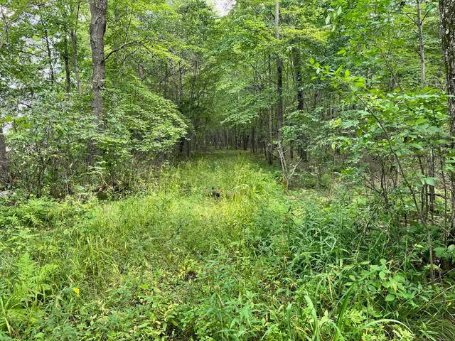 $500,000 | 80-ac County Rd G, Hancock, WI 54943