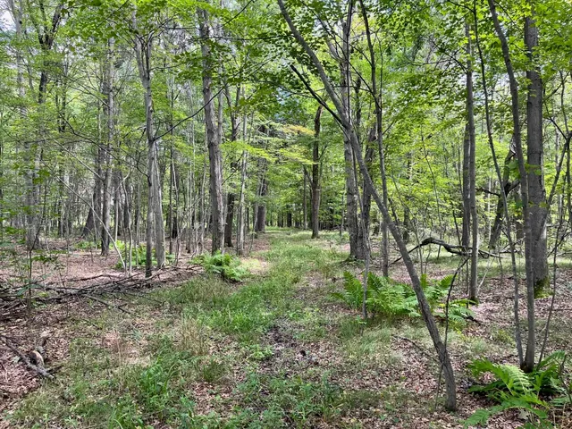 $500,000 | 80-ac County Rd G, Hancock, WI 54943