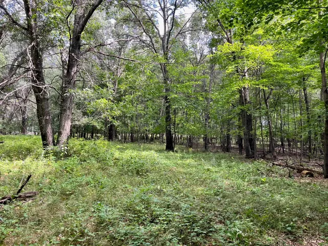 $500,000 | 80-ac County Rd G, Hancock, WI 54943