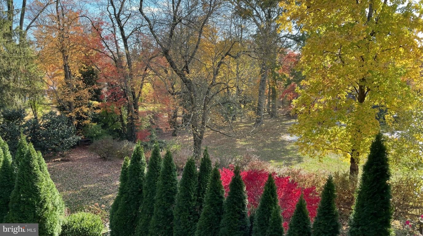 621 Great Springs Road Bryn Mawr, PA 19010 - Photo 101 of 102 Autumn's vibrant tapestry unfolds.