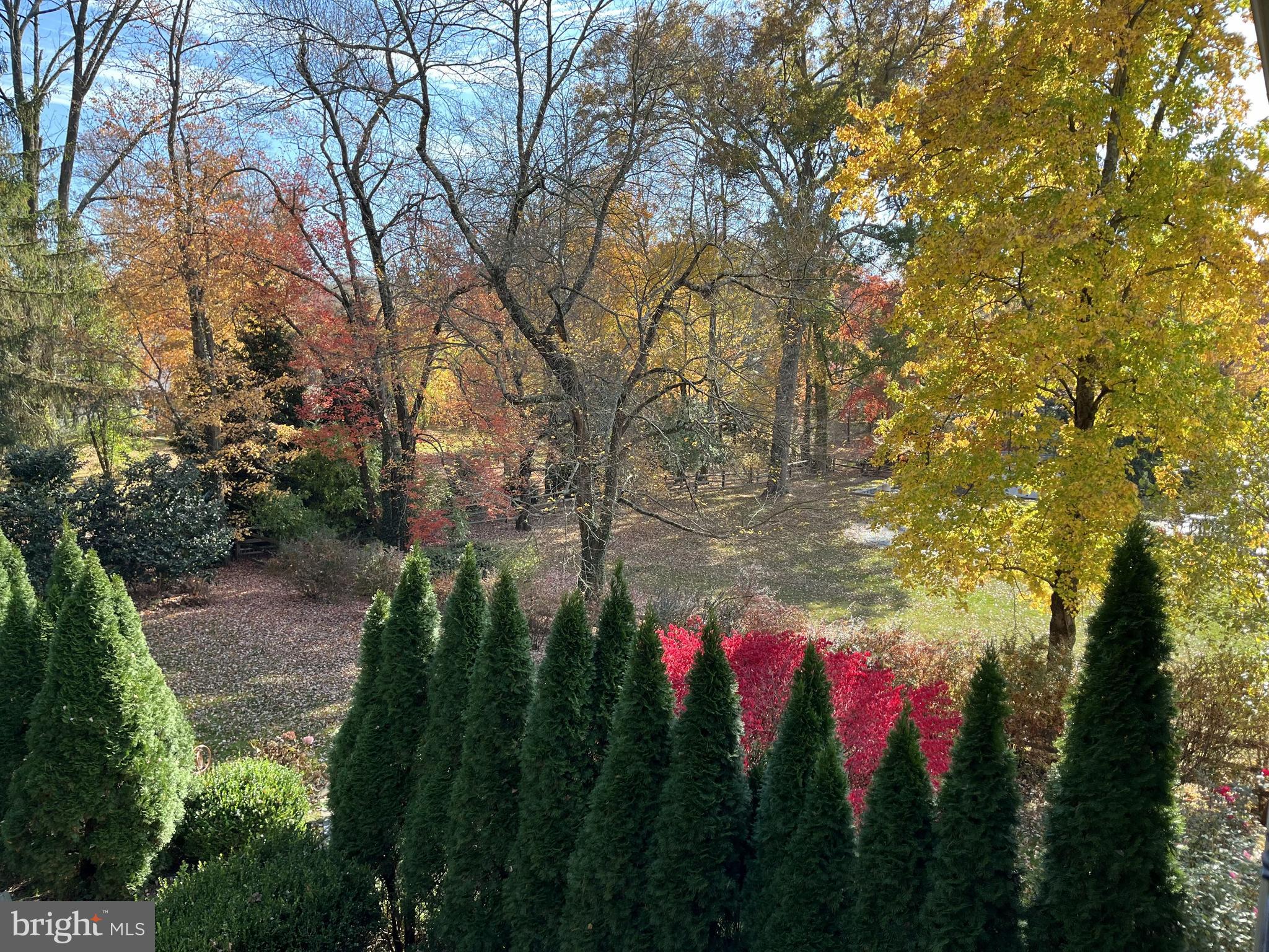 621 Great Springs Road Bryn Mawr, PA 19010 - Photo 102 of 103