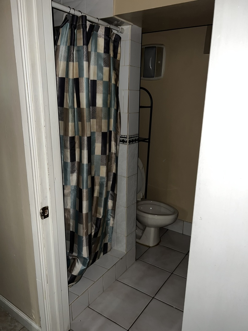 1511 Greenleaf Street Evanston, IL 60202 - Photo 27 of 37 a bathroom with a toilet and a shower