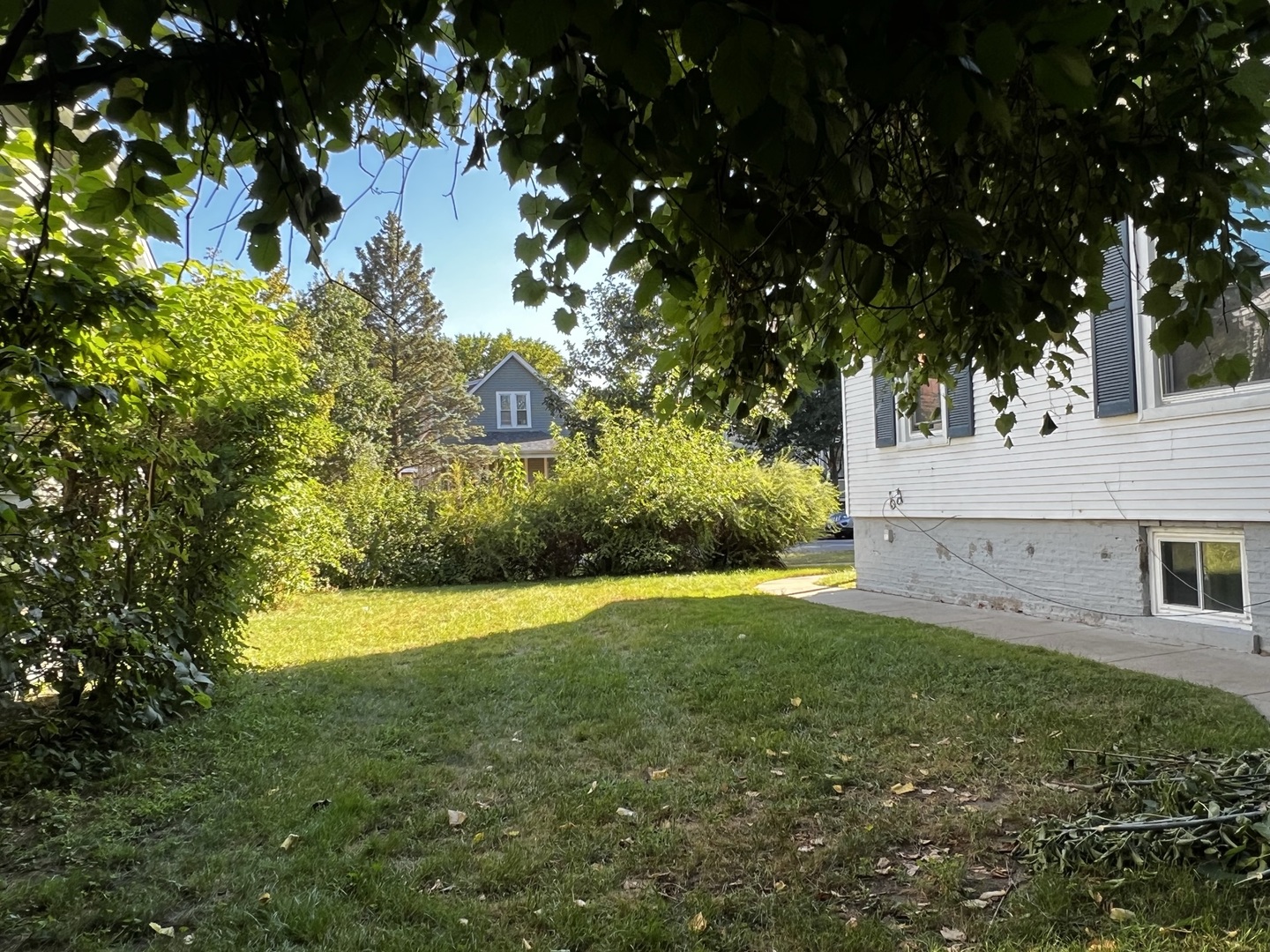 1511 Greenleaf Street Evanston, IL 60202 - Photo 5 of 37 a view of back yard of the house and trees