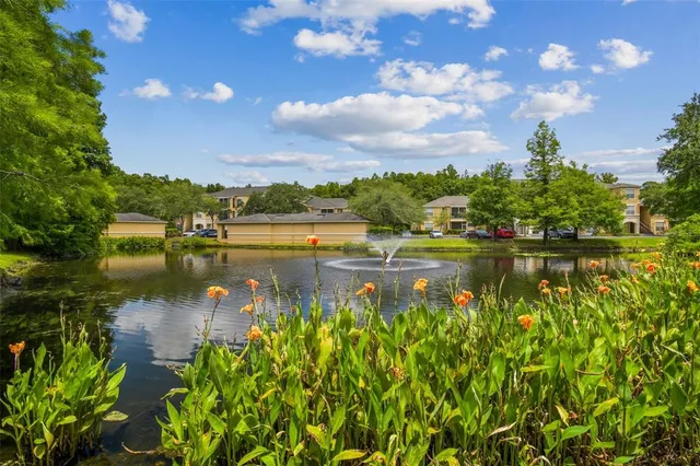 $183,416 | 5125 Palm Springs Boulevard, Unit 3302, Tampa, FL 33647