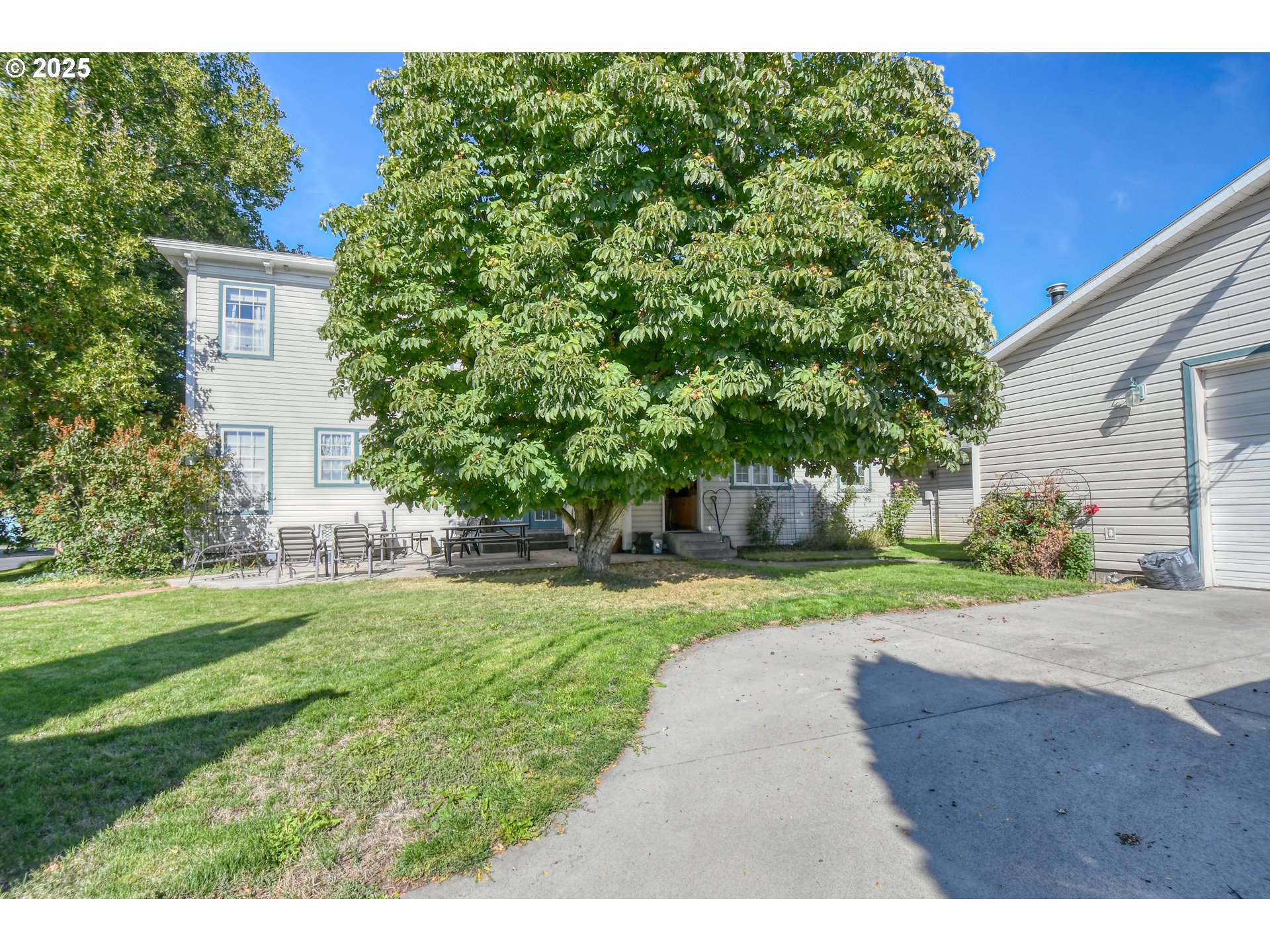 310 East Washington Street Athena, OR 97813 - Photo 37 of 45 a view of a back yard